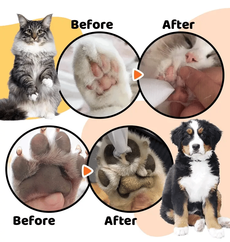 Patimora ProTrim Kedi ve Köpekler İçin Hassas Tıraş Makinesi
