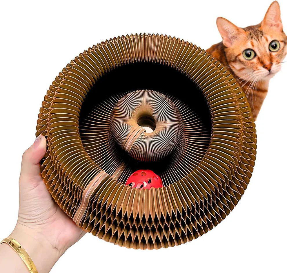 Patimora Sihirli Akordeon Kedi Tırmalama ve Oyun Yatağı