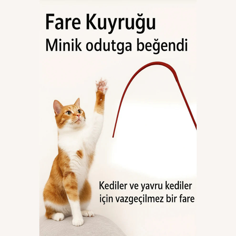 PatiChase Gerçekçi Av Simülasyonlu Esnek Kedi Oltası