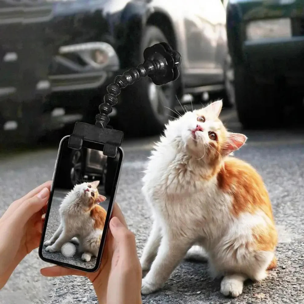 PatiFocus Telefon Uyumlu Ödül Maması ve Selfie Tutucu