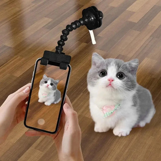 PatiFocus Telefon Uyumlu Ödül Maması ve Selfie Tutucu