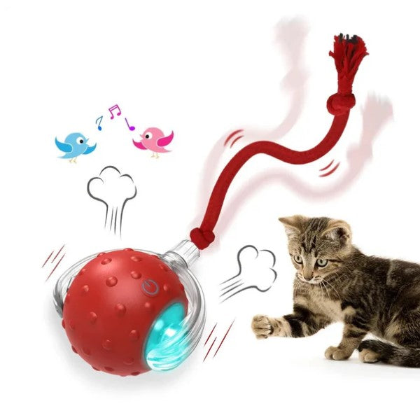 Patitop Akıllı Evcil Hayvan Topu: Sensörlü ve Otomatik Eğlence