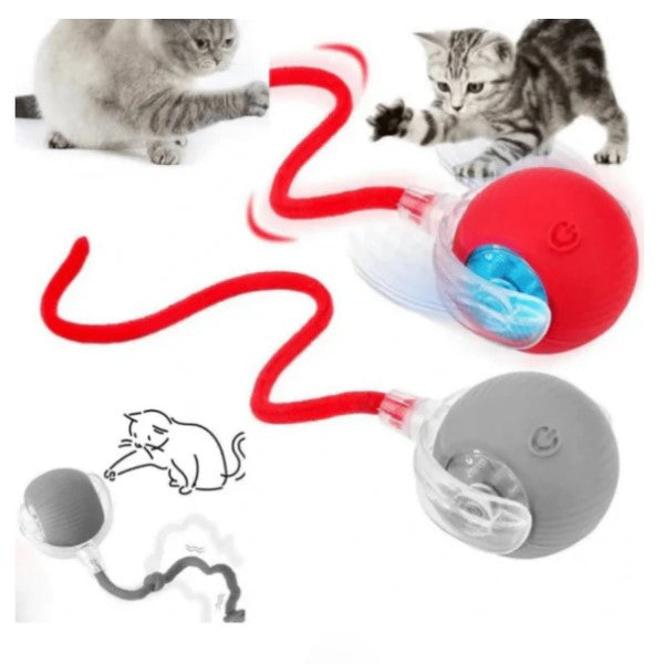 Patitop Akıllı Evcil Hayvan Topu: Sensörlü ve Otomatik Eğlence