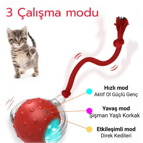 Patitop Akıllı Evcil Hayvan Topu: Sensörlü ve Otomatik Eğlence