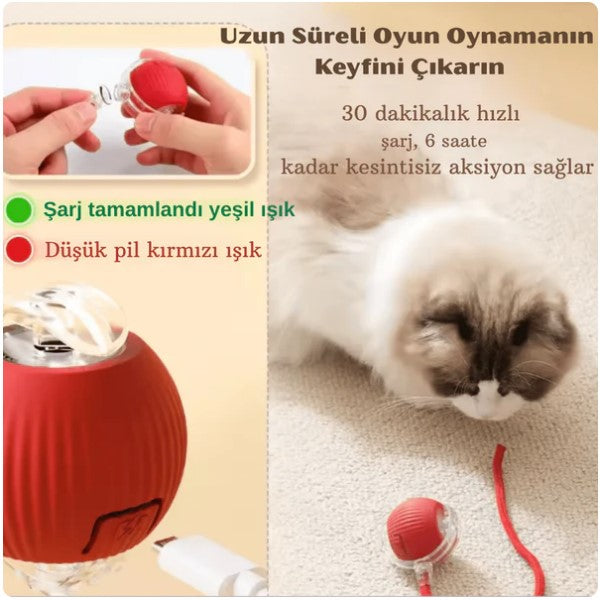 Patitop Akıllı Evcil Hayvan Topu: Sensörlü ve Otomatik Eğlence