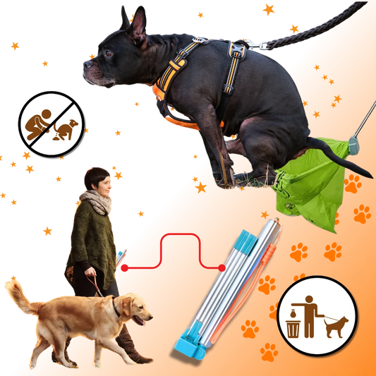 PatiClean™ Uzun Saplı Köpek Kaka Toplama Aparatı (Poşet Hediyeli)