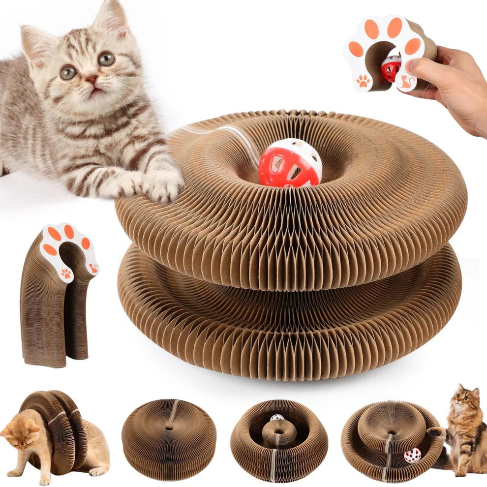 Patimora Sihirli Akordeon Kedi Tırmalama ve Oyun Yatağı