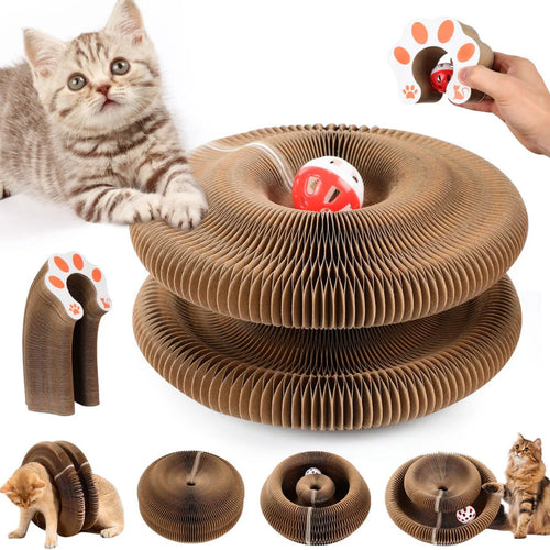 Patimora Sihirli Akordeon Kedi Tırmalama ve Oyun Yatağı