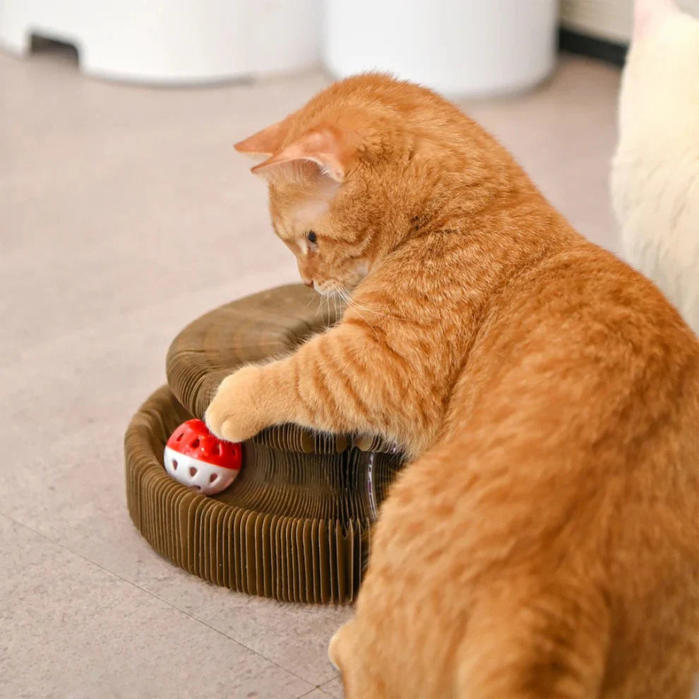 Patimora Sihirli Akordeon Kedi Tırmalama ve Oyun Yatağı