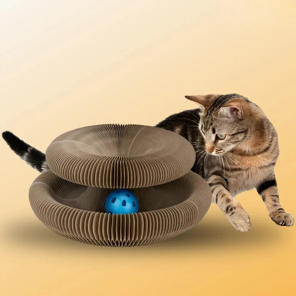Patimora Sihirli Akordeon Kedi Tırmalama ve Oyun Yatağı